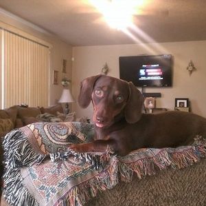 Meet your Posher, Laura